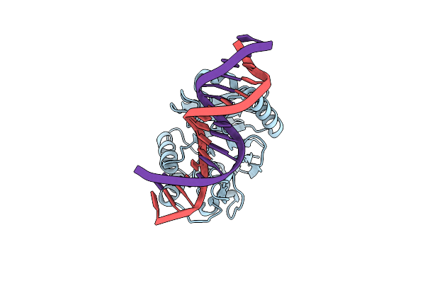 7N8S image