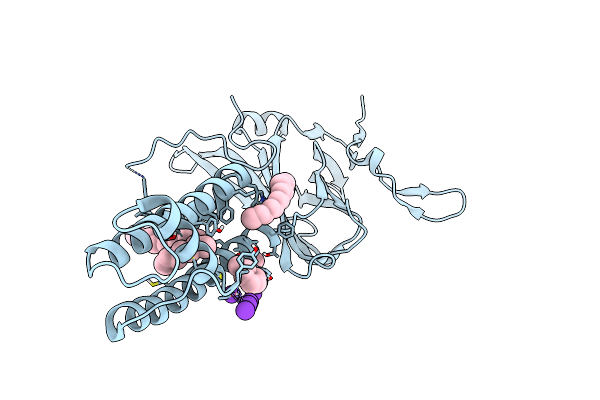 7N9K image