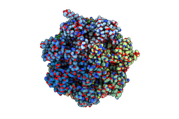 7NAN image