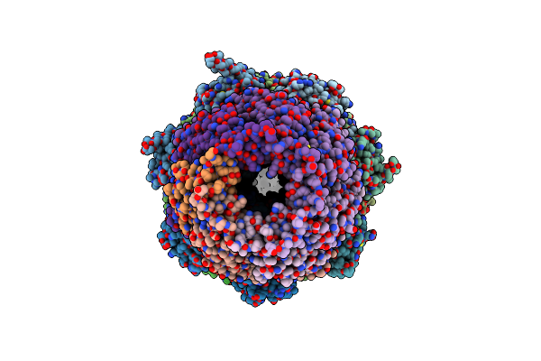 7NAO image
