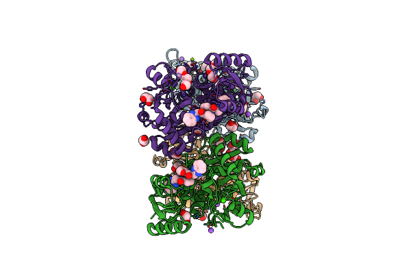 7NBH image