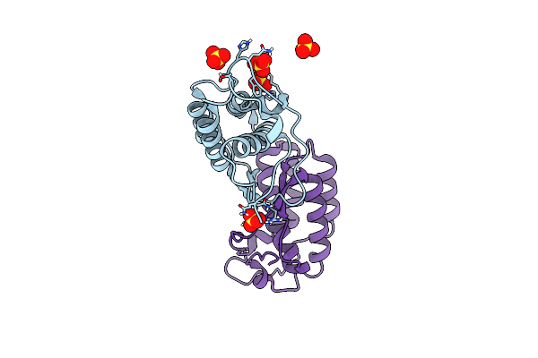 7NBI image