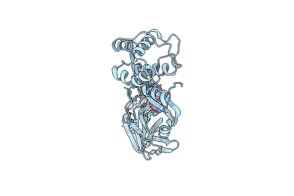 7NBR image