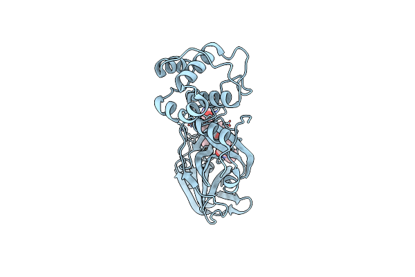 7NBS image