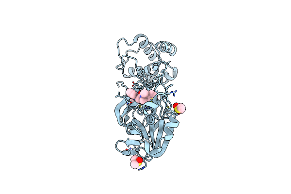 7NBT image