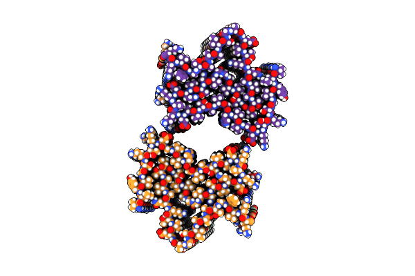 7NCA image