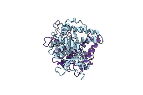 7NCB image