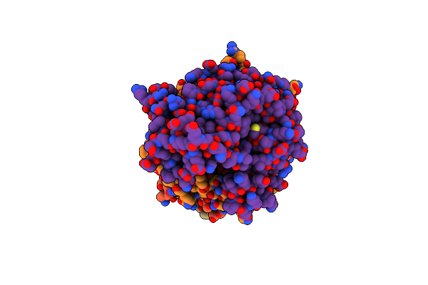 7NCD image