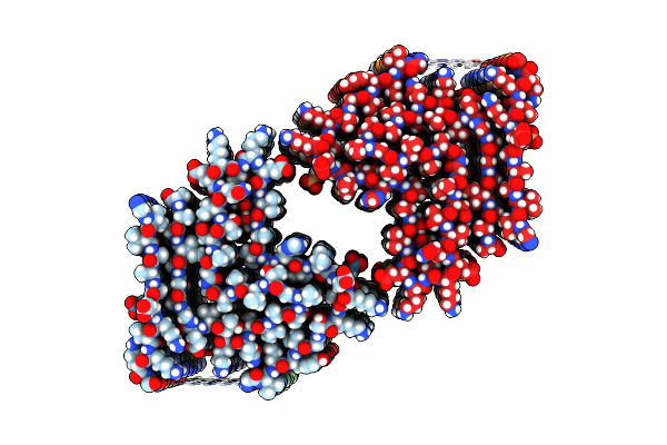 7NCH image