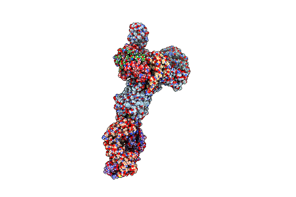 7NCS image