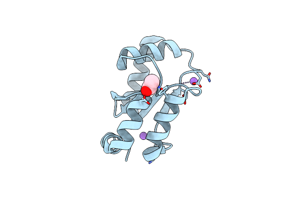 7NCV image