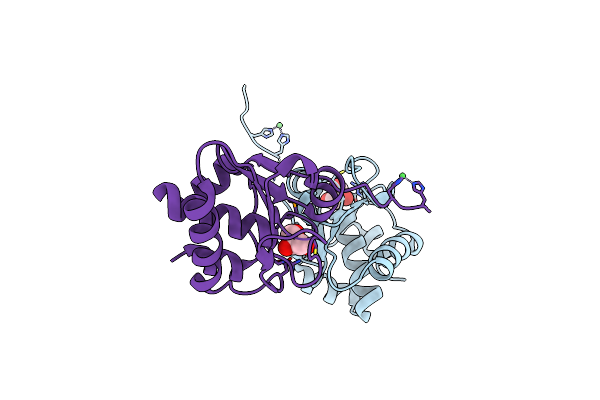 7NCY image
