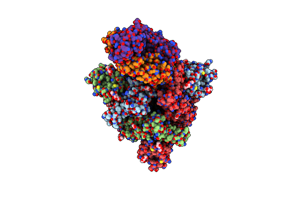 7NDA image