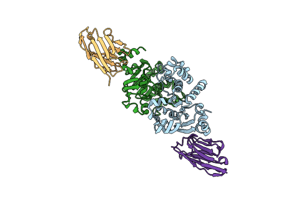 7NDF image