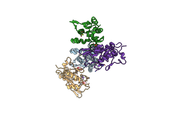 7NDI image