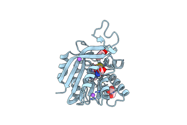 7NDM image