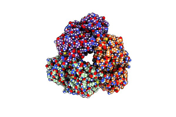 7NDR image