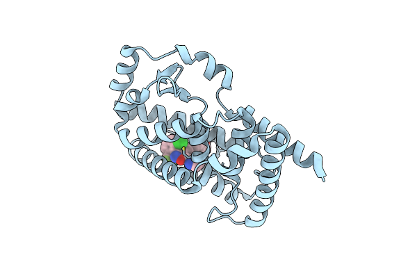 7NEC image