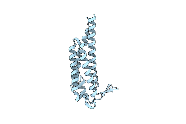 7NEN image