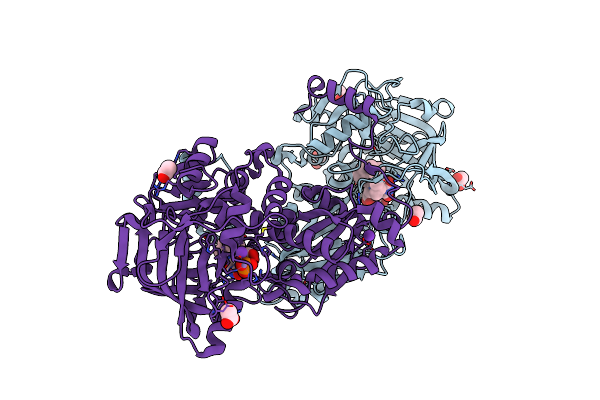 7NF2 image