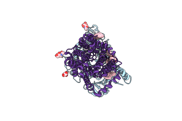 7NF6 image