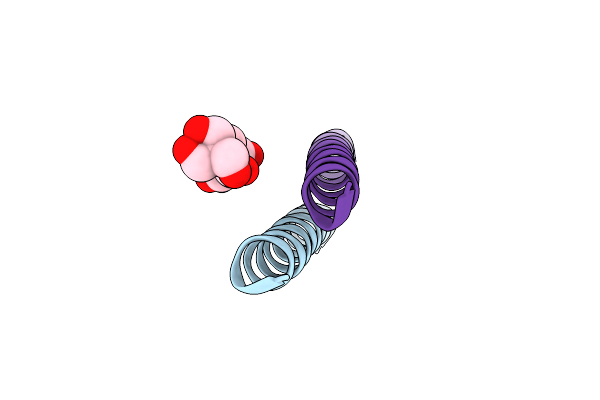 7NFF image
