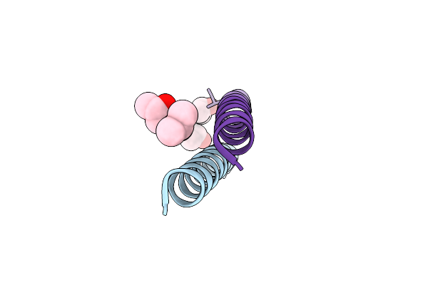 7NFK image