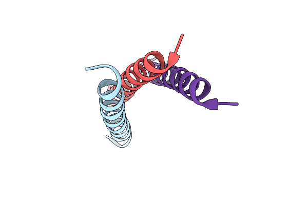 7NFO image