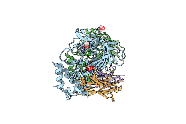 7NFQ image
