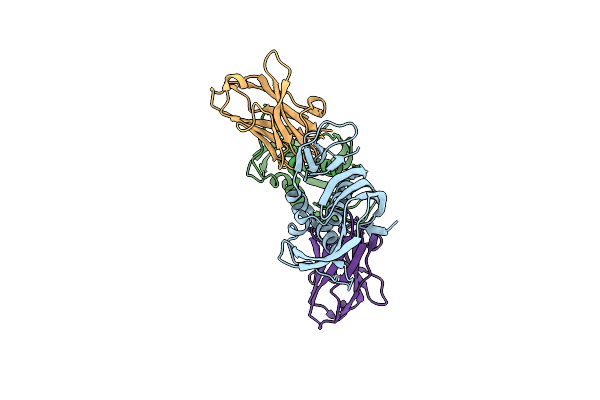 7NFT image
