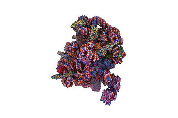 7NFX image