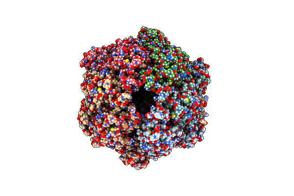 7NGF image