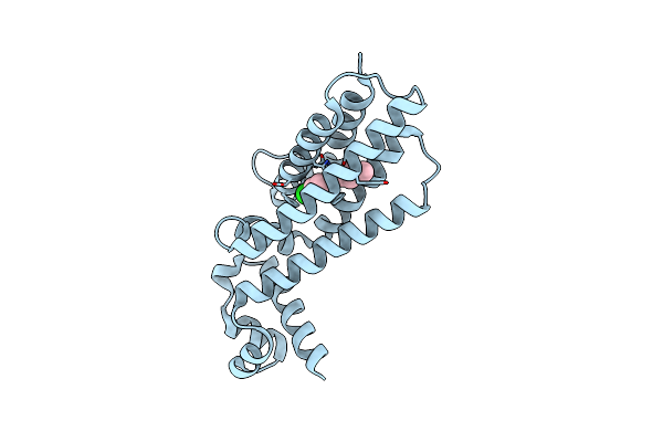 7NGG image