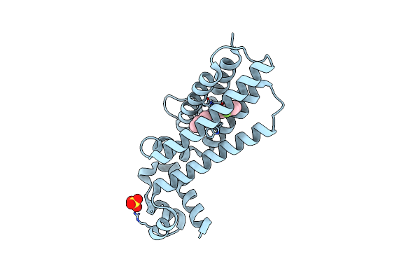 7NGI image