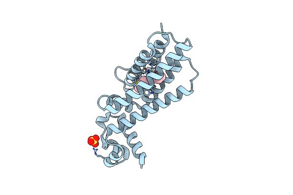 7NGK image