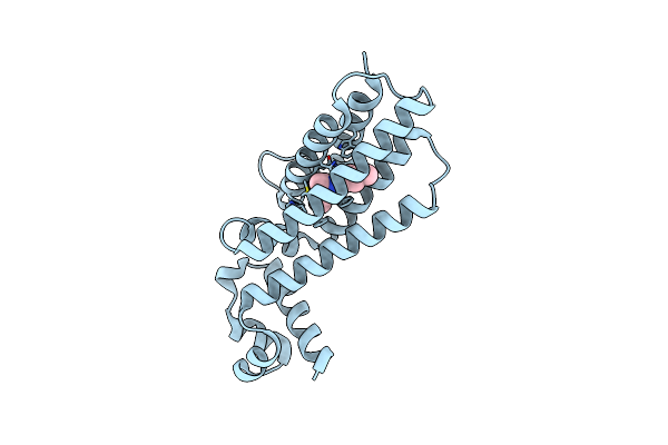 7NGM image