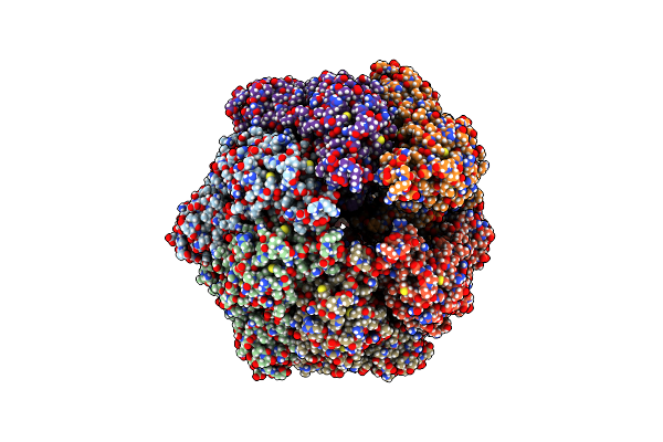 7NGP image
