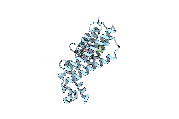 7NGR image