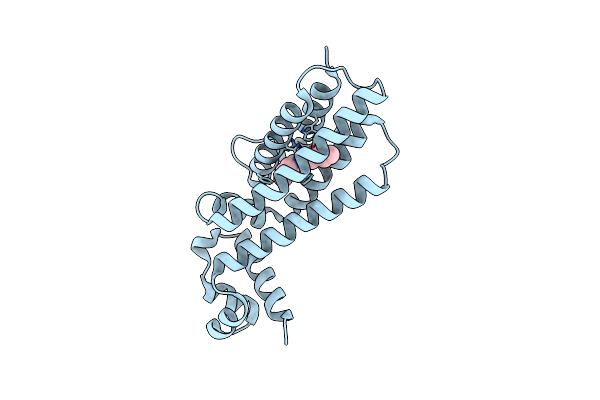7NGS image