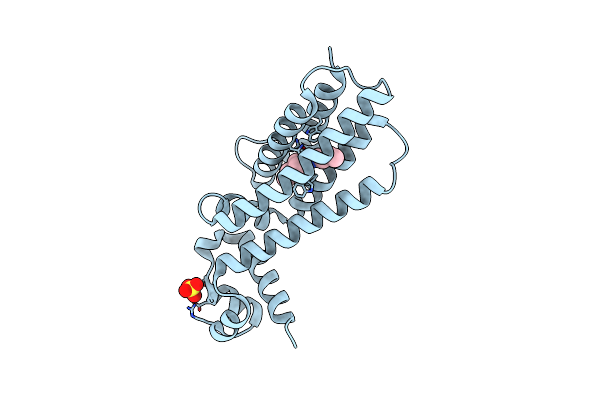 7NGT image