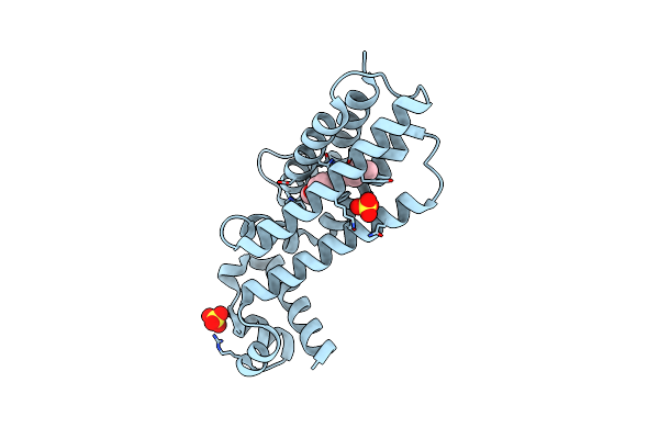 7NGU image