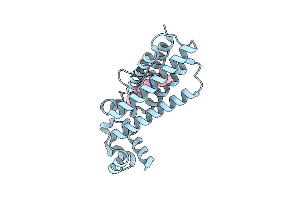 7NGX image