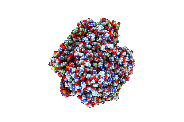 7NHA image