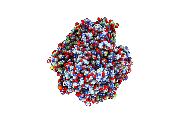 7NHC image