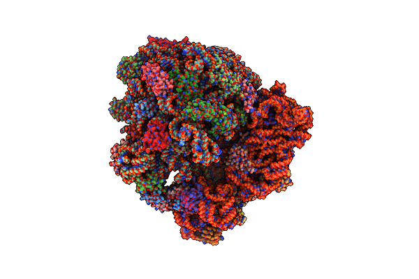7NHM image