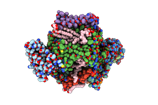 7NHP image