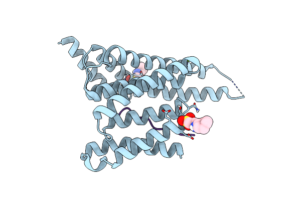 7NIX image