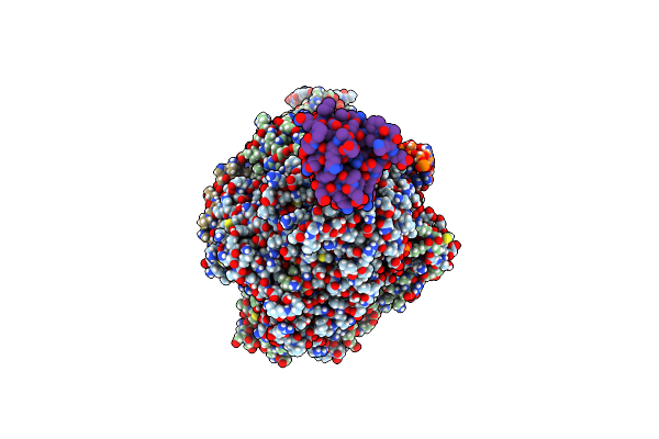7NKA image