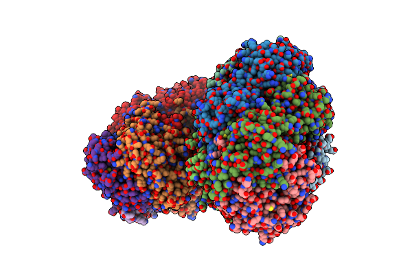 7NKG image