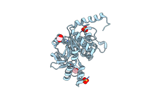 7NLF image